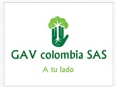 Logo GAVcolombia SAS