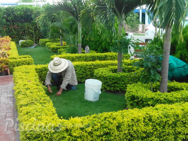 Servicio de jardinería