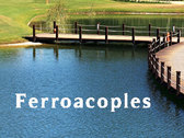 Ferroacoples