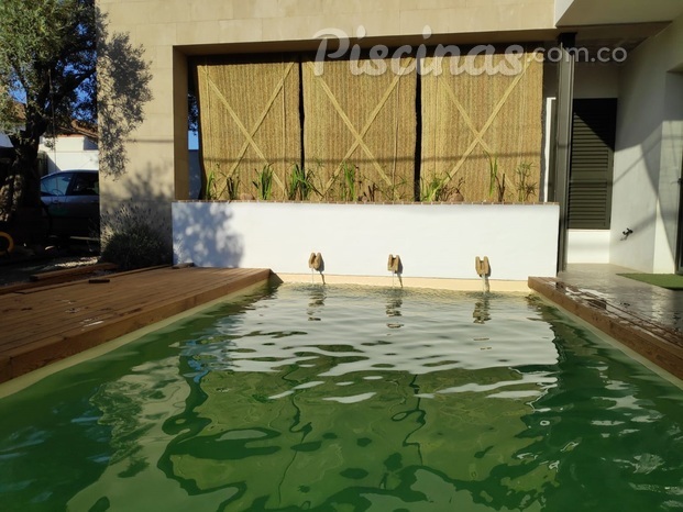 Tipo de proyecto: Piscina Natural en patio privado.